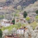 成都旅游 缩略图 17