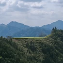 黄山旅游 缩略图 2