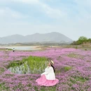 黄山旅游 缩略图 4