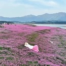 黄山旅游 缩略图 5