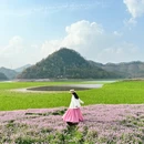 黄山旅游 缩略图 6