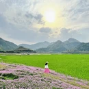 黄山旅游 缩略图 7
