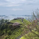黄山旅游 缩略图 5