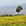 宁德