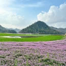 黄山旅游 缩略图 8