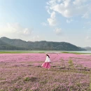 黄山旅游 缩略图 9
