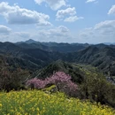 黄山旅游 缩略图 6