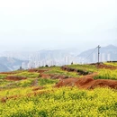 宁德旅游 缩略图 2