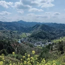 黄山旅游 缩略图 7
