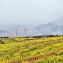 宁德旅游 缩略图 3