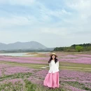 黄山旅游 缩略图 10