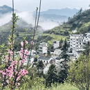 黄山旅游 缩略图 9