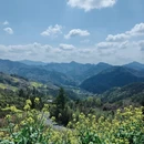 黄山旅游 缩略图 8