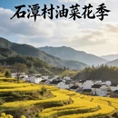 黄山旅游 缩略图 1