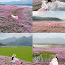 黄山旅游 缩略图 1