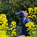 黄山旅游 缩略图 17