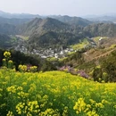 黄山旅游 缩略图 2