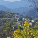 黄山旅游 缩略图 3