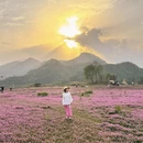 黄山旅游 缩略图 2