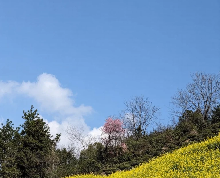 黄山旅游 1