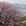 黄山
