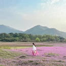 黄山旅游 缩略图 3