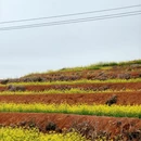 宁德旅游 缩略图 4