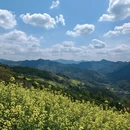 黄山旅游 缩略图 9