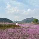 黄山旅游 缩略图 11