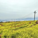 宁德旅游 缩略图 5