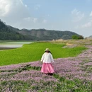 黄山旅游 缩略图 12