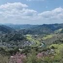 黄山旅游 缩略图 10