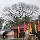 宁德旅游 缩略图 13