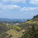 黄山旅游 缩略图 18