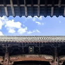 黄山旅游 缩略图 7