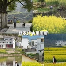 黄山旅游 缩略图 1