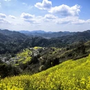 黄山旅游 缩略图 9