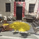 黄山旅游 缩略图 10