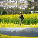 黄山旅游 缩略图 2