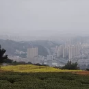 宁德旅游 缩略图 16