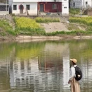 黄山旅游 缩略图 6