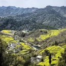 黄山旅游 缩略图 13