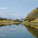 黄山旅游 缩略图 11