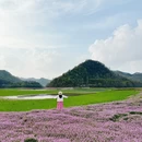 黄山旅游 缩略图 14