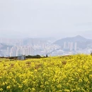 宁德旅游 缩略图 7