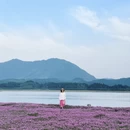 黄山旅游 缩略图 13