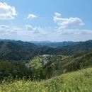 黄山旅游 缩略图 12