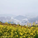 宁德旅游 缩略图 8