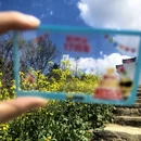黄山旅游 缩略图 2