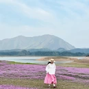 黄山旅游 缩略图 15